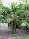 paratujardin.com