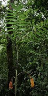 paratujardin.com