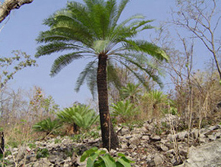 www.paratujardin.com