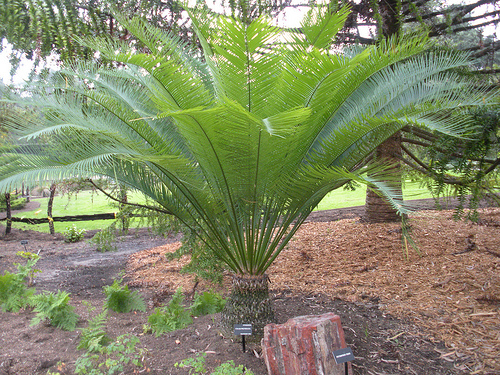 paratujardin.com