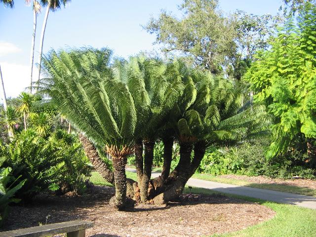 paratujardin.com