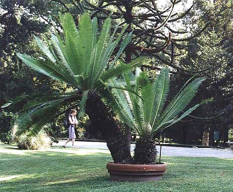www.paratujardin.com