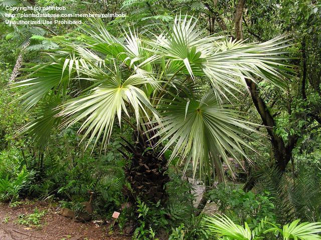 www.paratujardin.com