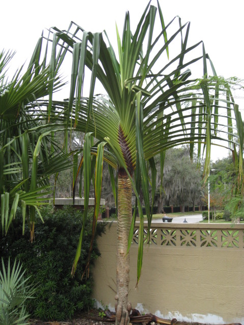 www.paratujardin.com