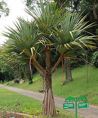 paratujardin.com