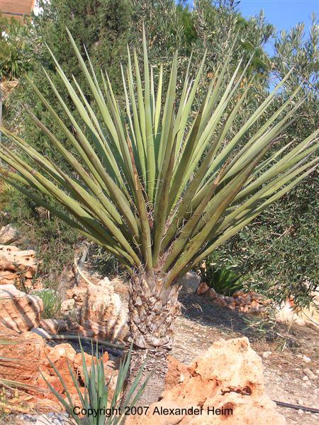 paratujardin.com