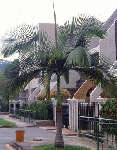 paratujardin.com