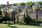 paratujardin.com