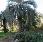 paratujardin.com