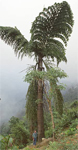 paratujardin.com