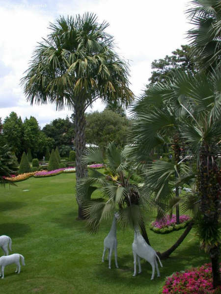 www.paratujardin.com