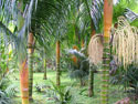 paratujardin.com