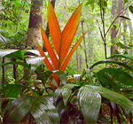 paratujardin.com