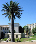 paratujardin.com