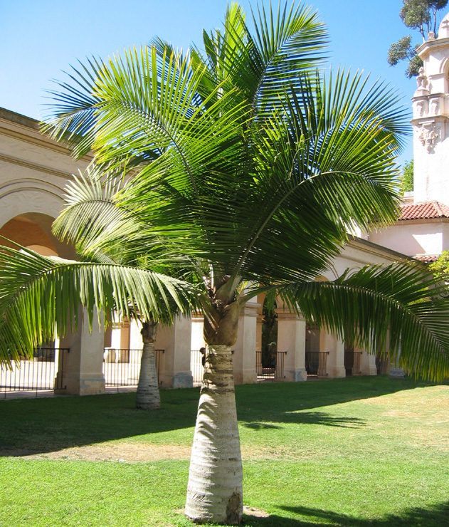 www.paratujardin.com