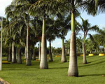 paratujardin.com