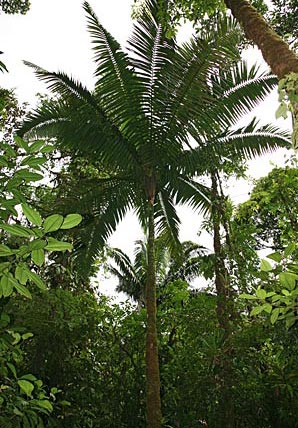 paratujardin.com