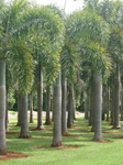 paratujardin.com